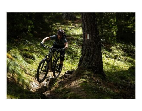 Santa Cruz Heckler CC MX X01 RSV vélo de montagne - Image 10